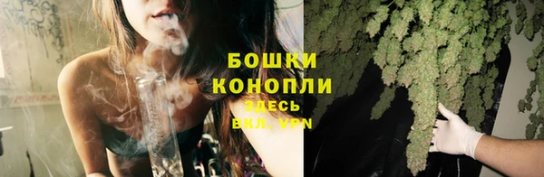 крисы Няндома