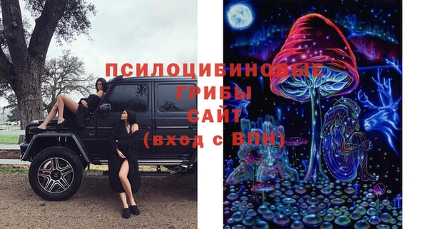 MESCALINE Нязепетровск