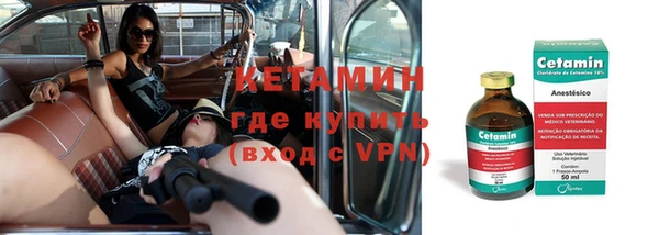 крисы Няндома