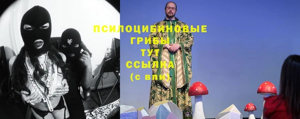 spice Новозыбков