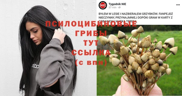 крисы Няндома