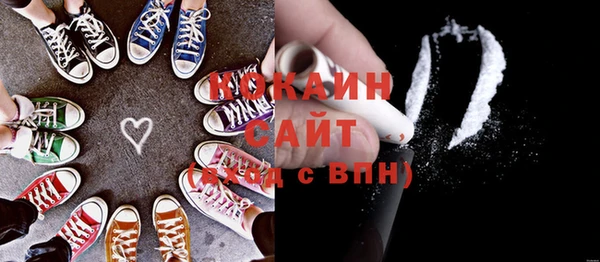 крисы Няндома