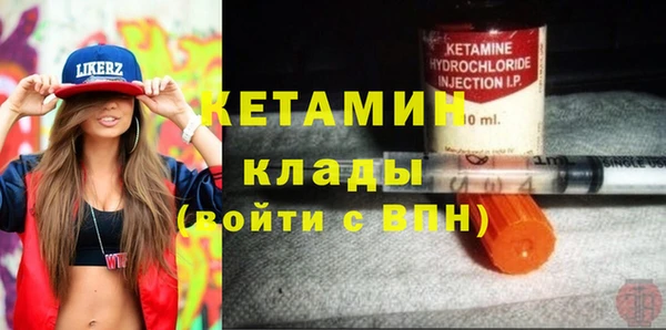 крисы Няндома