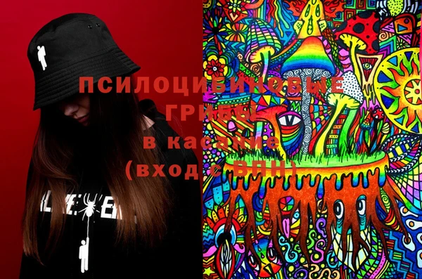 мяу мяу мука Нягань