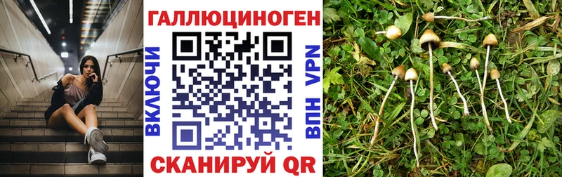 Галлюциногенные грибы MAGIC MUSHROOMS  купить   гидра рабочий сайт  Кирсанов 