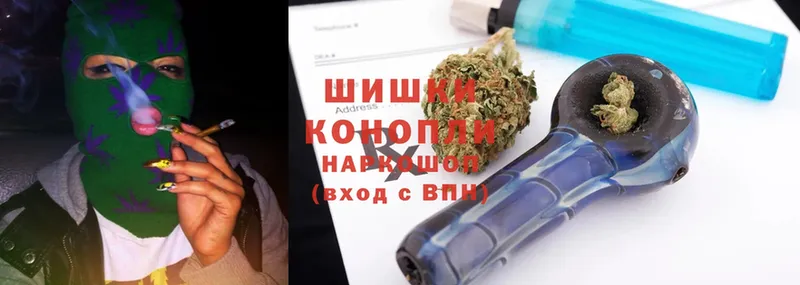 блэк спрут как зайти  Кирсанов  Бошки Шишки OG Kush  как найти  